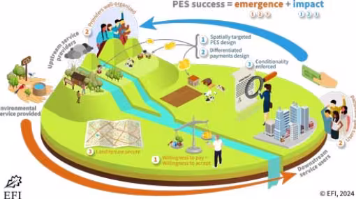 graph shows the various elements that form payments for ecosystem services and their interactions