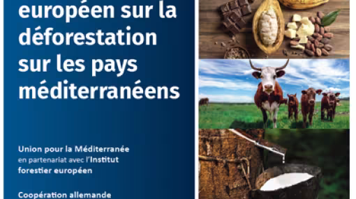 EUDR report french version