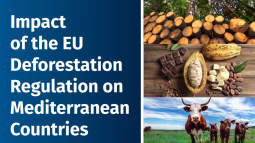 images from the front cover of the EUDR Mediterranean publication