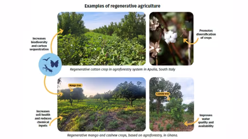 examples of regenerative agriculture
