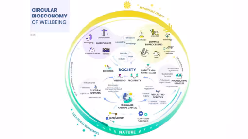 this graph shows what circular bioeconomy of well-being includes