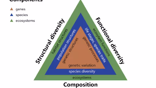 main elements of forest biodiversity