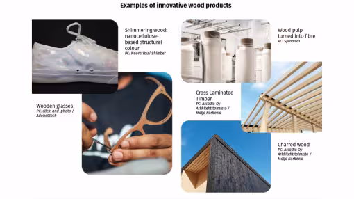 examples of innovative wood products