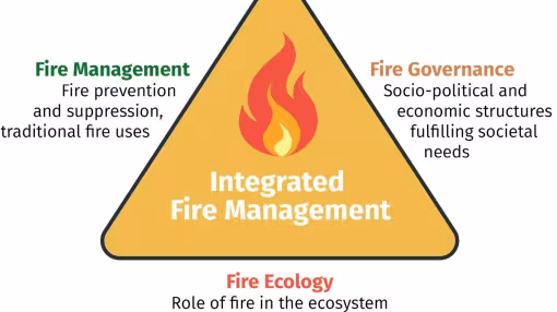 graph shows the dimensions of integrated forest management, which are fire management, governance and ecology.