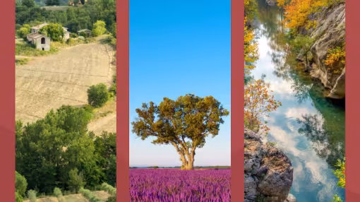 three types of Mediterranean landscape