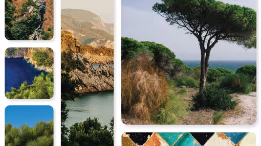 Mediterranean landscapes