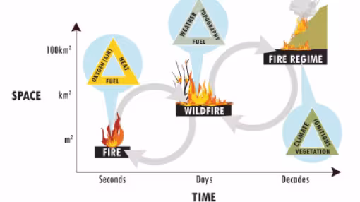 graph shows the complexity of wildfires