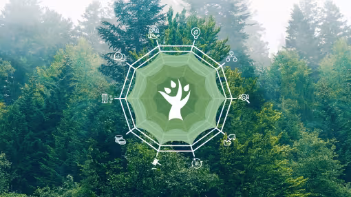 A green spiderweb diagram with a central tree icon overlays a lush forest, featuring various small white icons representing different readiness dimensions.