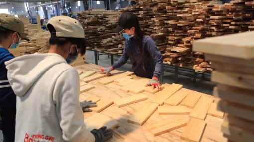 Workers in acacia panel production in Vietnam