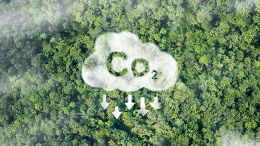 Carbon farming
