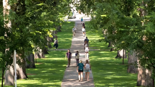green areas in city