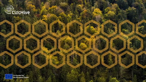 high angle shot of forest with autumn colored trees