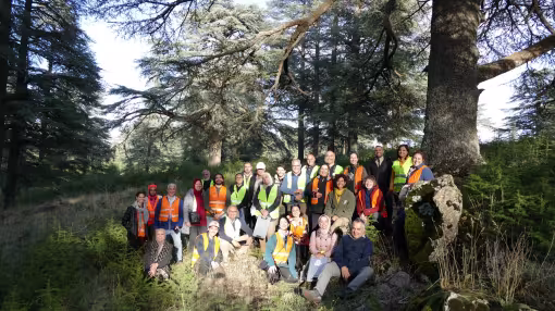 Group photo of more than 30 workshop participants in high-visibility vests among large Atlas cedar trees.