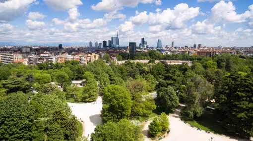 urban forest