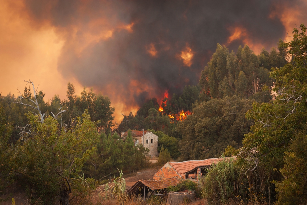 Fighting catastrophic forest fires | European Forest Institute