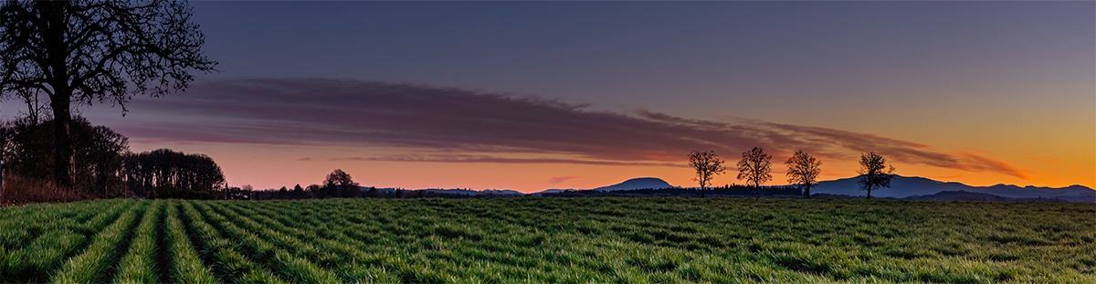 Investing in nature is crucial for sustainable development | European ...