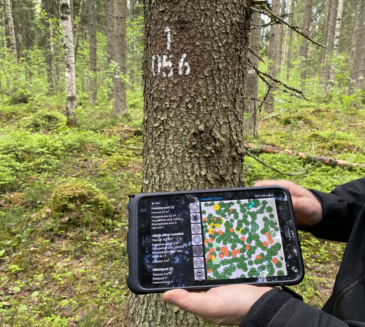 Managing forests virtually | European Forest Institute