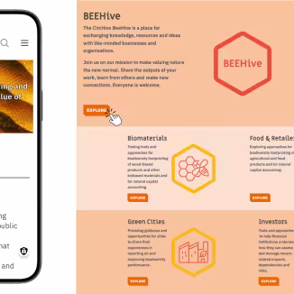 Beehive Hubs screenshot
