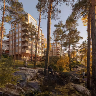 Buildings and forest