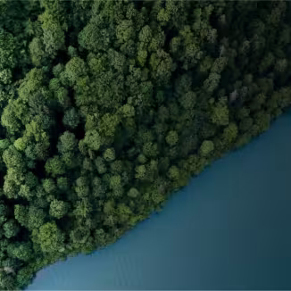 aerial view of forest and water