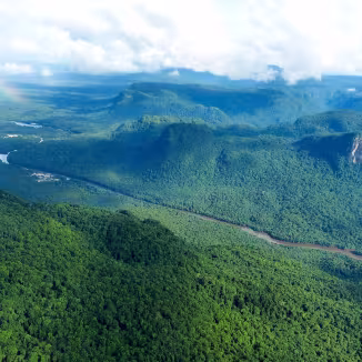Aerial view of a rainforest and a river