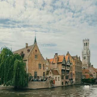 Large weeping willow over a canal with historic buildings and a stone tower in Bruges.