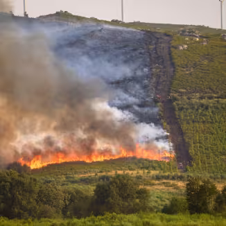 A controlled burn with a fire lane