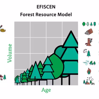 The European Forest Information SCENario Model (EFISCEN)