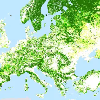 Forest Map of Europe