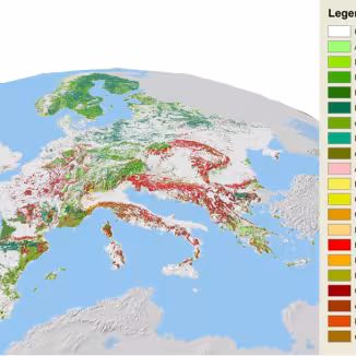Tree species maps for European forests