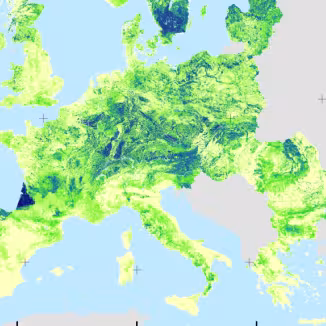 Wood production maps for European forests