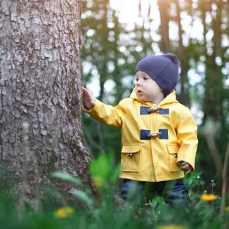 Decorative photo of child in forest