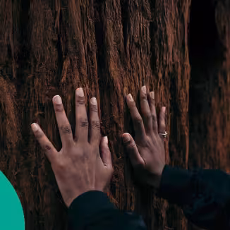 EFI fir wave with hands on a tree trunk