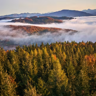 Aerial view of a mountain landscape featuring thick valley fog between autumn forests.