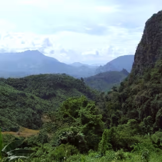 Panoramic view of a lush, tropical rainforest valley in Asia, featuring dense green canopy and a prominent karst limestone peak under a cloudy sky.