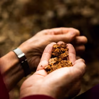 Decorative photo of hand holding soil. 