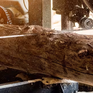 Close-up of a large timber log being sliced by a bandsaw in a sawmill, with sawdust flying.