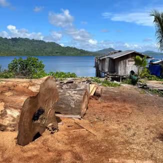Timber production area featuring large logs and a wooden stilt house overlooking a tropical bay.