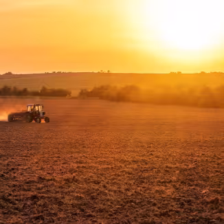 A tractor tilling a vast field at sunset, kicking up dust against a backdrop of distant trees.