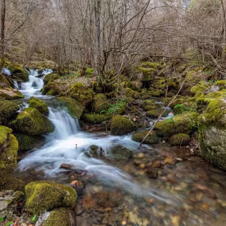 Valdecuevas stream crossing the forest with moss-covered rocks, Cabornera de Gord&oacute;n, Le&oacute;n, Spain.