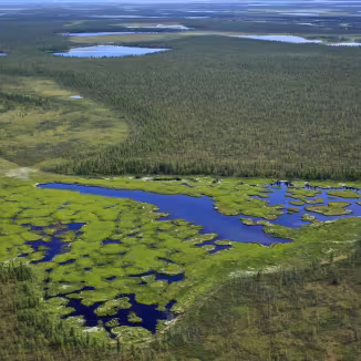 decorative photo of forest landscape in Russia