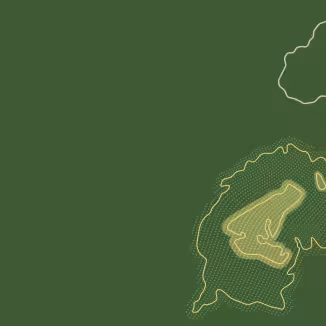 A minimalist topographic map illustration on a dark green background, featuring light green and yellow contoured zones representing forest carbon monitoring or land survey areas.