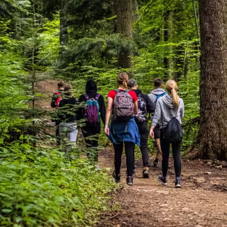 Hiking group of people in a forest