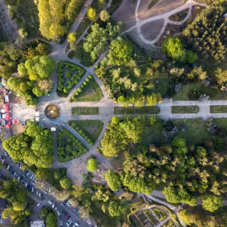 Urban green space and trees, seen from above