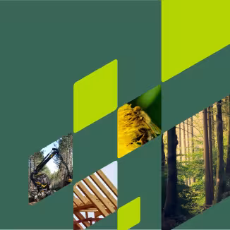 collage with a bee next to a sunflower, harvester in a forest, wooden house, trees