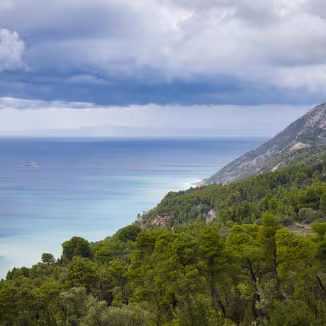 Green Mediterranean pine forest covering a steep hillside that slopes down to the turquoise and deep blue waters of the Greek coastline under a cloudy sky.