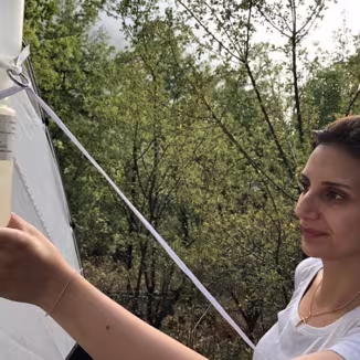 Carole Saliba, lab engineer, USJ replacing the alcohol jar to collect trapped insects.