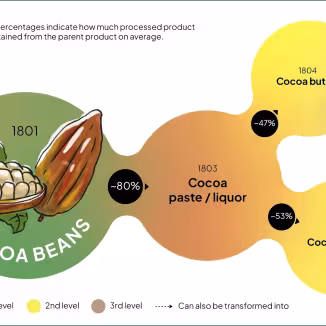 An infographic showing the processing breakdown of cocoa beans into various products, using color-coded nodes to represent processing levels.