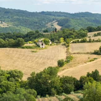 Mediterranean landscape
