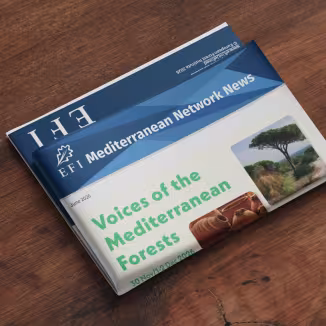 EFI Mediterranean Network News June 2026
